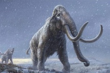 Phát hiện hóa thạch voi ma mút khổng lồ 10.000 năm tuổi tại Mexico