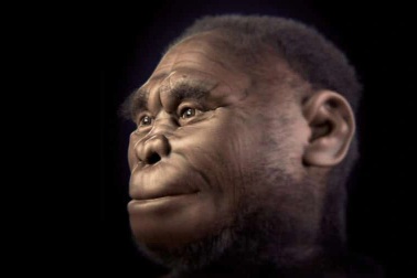 Loài Hominids sống khoảng 18.000 năm trước có thể vẫn còn tồn tại