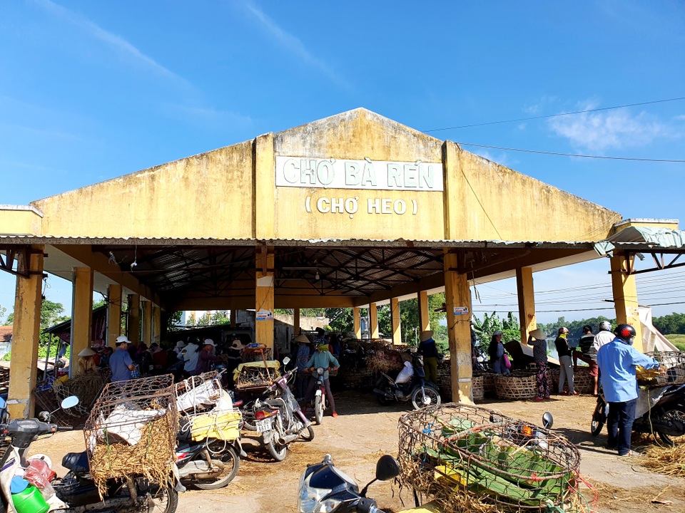 Ở Quảng Nam có nghề đặc biệt: Phụ nữ “bồng heo” - 1 Ở Quảng Nam có nghề đặc biệt: Phụ nữ “bồng heo” - 1