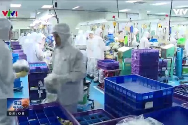 Có nên tăng tuổi nghỉ hưu?