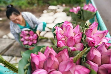 Khoảnh khắc Hà Nội qua camera kép trên điện thoại