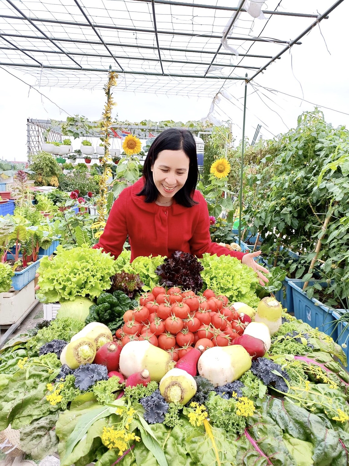 Mẹ đảm ở Hải Phòng kỳ công về quê chở đất, kéo từng bao lên phố trồng rau - 4 Mẹ đảm ở Hải Phòng kỳ công về quê chở đất, kéo từng bao lên phố trồng rau - 4