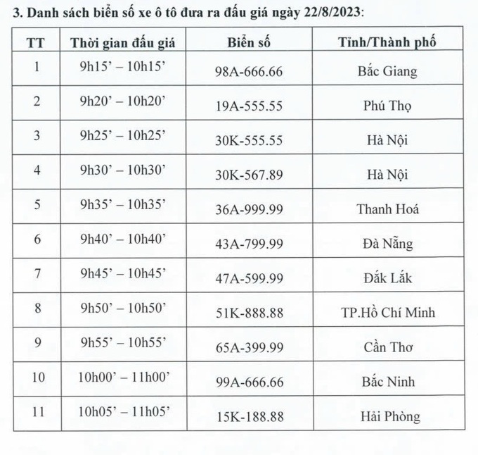 Trang đấu giá biển số ô tô tê liệt, nhiều người không thể truy cập - 2