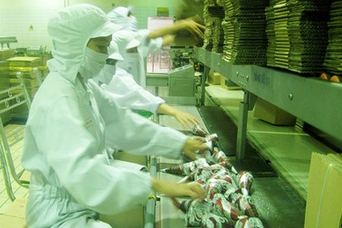 Ổ dịch bệnh khó lường từ kem “nhái”