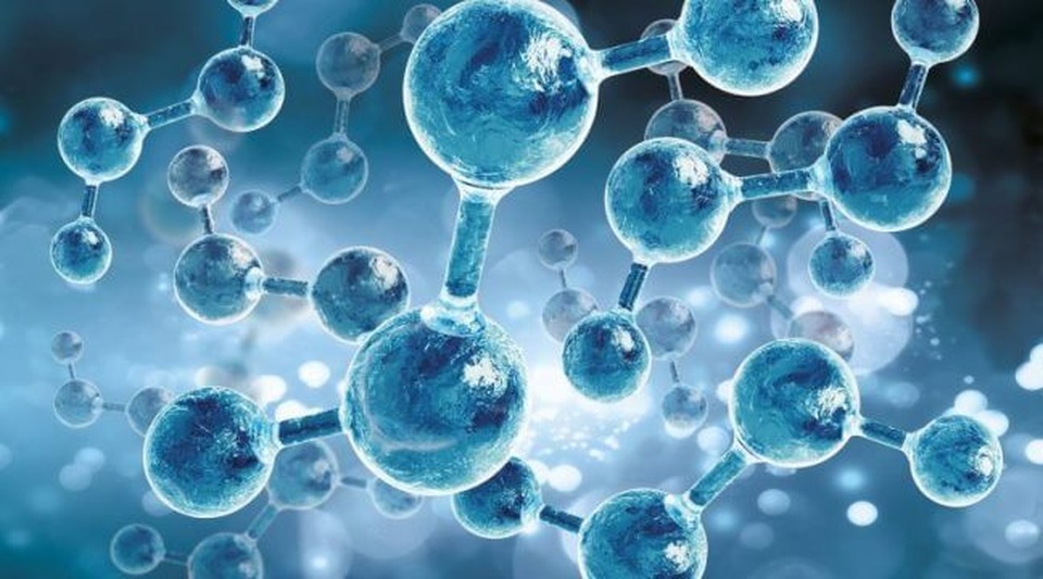 GlycoFast - Ứng dụng công nghệ siêu vi nano Nhật Bản hỗ trợ bảo vệ gan - 2 GlycoFast - Ứng dụng công nghệ siêu vi nano Nhật Bản hỗ trợ bảo vệ gan - 2