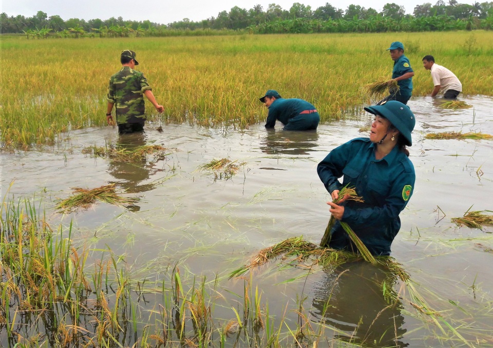 ĐBSCL cũng lao đao vì mưa bão, triều cường - 2 ĐBSCL cũng lao đao vì mưa bão, triều cường - 2