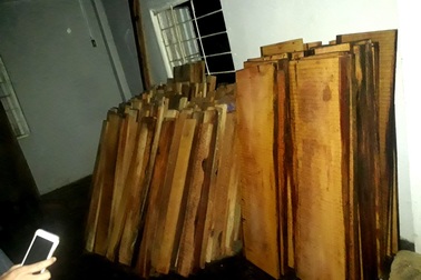 Phát hiện gỗ lậu trong kho Nhà máy thủy điện Sông Tranh 3