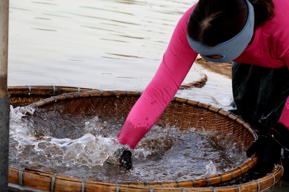 Làng đãi hến hơn 300 năm bên bờ sông La - 9 Làng đãi hến hơn 300 năm bên bờ sông La - 9