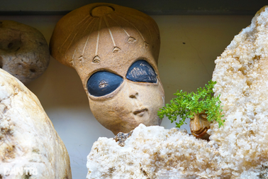 Hàng thập kỷ sưu tầm đá độc, lạ, không bán chỉ để mọi người ngắm