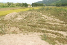 Bình Định: Dân bỏ ruộng hoang vì doanh nghiệp khai thác đá