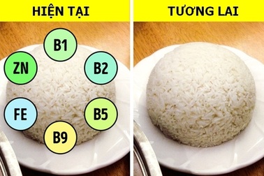 Những loại thực phẩm quen thuộc có nguy cơ biến mất vì biến đổi khí hậu!