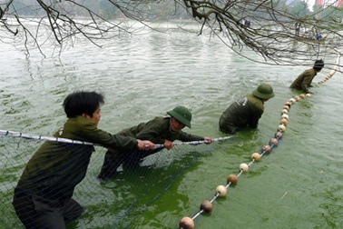 Hồi hộp dõi theo cụ Rùa hồ Gươm