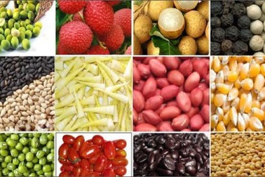 Hàng trăm dòng thuế suất nông sản sẽ về 0% vào năm 2018