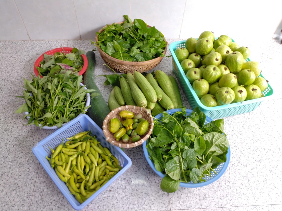 Khu vườn rau trái sum suê trên sân thượng, nhà phố tại TPHCM - 4 Khu vườn rau trái sum suê trên sân thượng, nhà phố tại TPHCM - 4