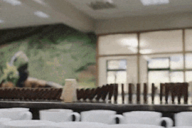 250 mét “hiệu ứng domino” tạo nên từ 5.000 chiếc bánh quy