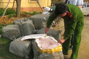 Lật tẩy thủ đoạn tuồn nội tạng “bẩn” vào nội địa