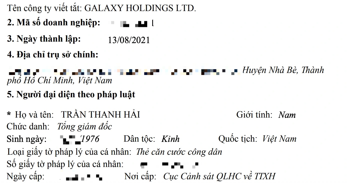 Lộ diện CEO tập đoàn công nghệ mới thành lập của tỷ phú Phương Thảo - 1
