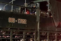 4 người trốn trên xe chở lợn "thông chốt" vào Quảng Ninh