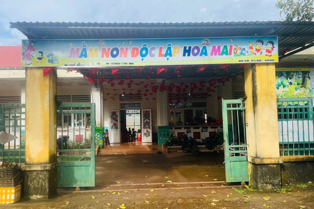 Xác minh việc nữ giáo viên tác động khiến học sinh mầm non chảy máu cam - 2