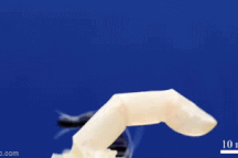 Robot ngày càng giống người, có thể làm được điều đáng kinh ngạc này