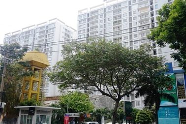 Thêm 2 chung cư tại TP.HCM bị chủ đầu tư mang đi thế chấp