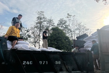 Lào Cai: Hỗ trợ 181 tấn gạo cho học sinh vùng cao khó khăn