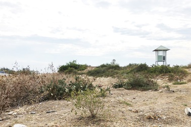 Bị thu hồi đất vàng ven biển, doanh nghiệp đòi Đà Nẵng bồi thường 4.300 tỷ đồng