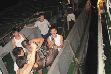 Tiếp tế trong đêm giữa Hoàng Sa