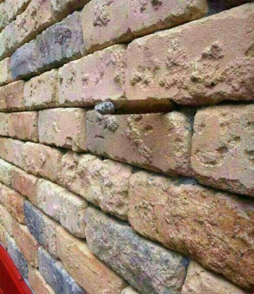 Bạn mất bao lâu để nhìn thấy điếu xì gà trong bức ảnh này? Bạn mất bao lâu để nhìn thấy điếu xì gà trong bức ảnh này?