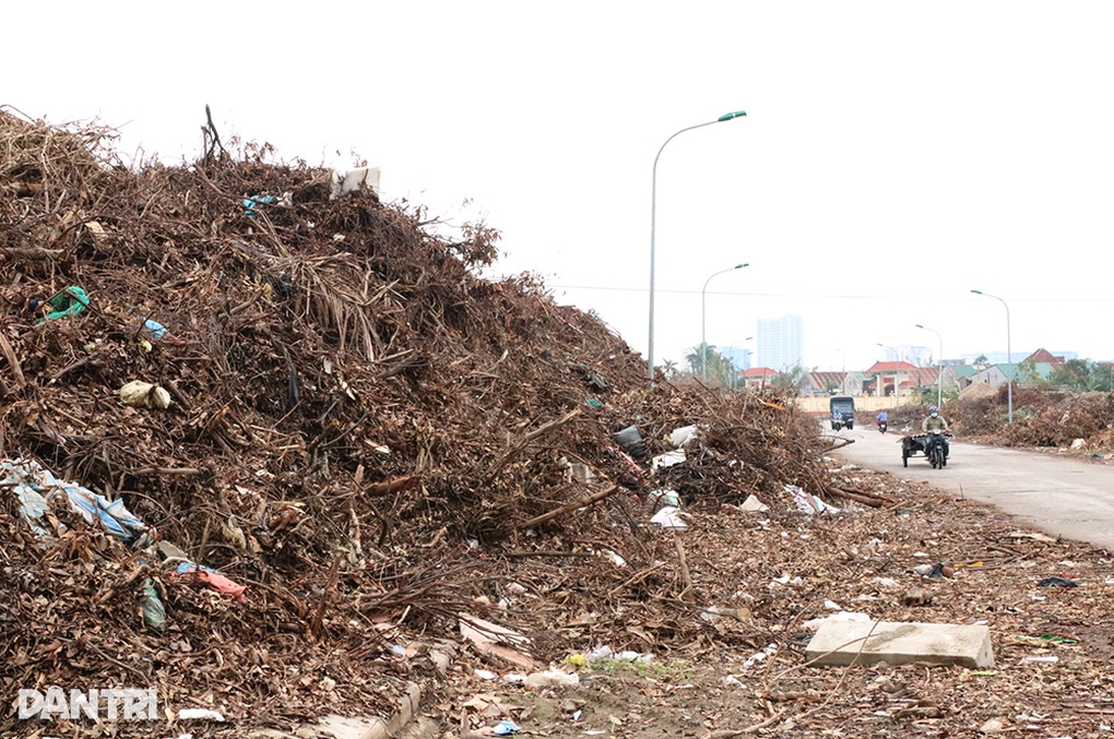Rác chất cao hai bên đường sau bão Kajiki - 1 Rác chất cao hai bên đường sau bão Kajiki - 1