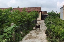 Con rể nghi mang xăng đến nhà bố vợ tự thiêu