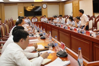 Thanh tra chậm, nhiều cán bộ Thanh tra Chính phủ sẽ bị xử lý