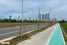 Nhiều cây xanh chết khô trong khu đô thị mới ở Huế