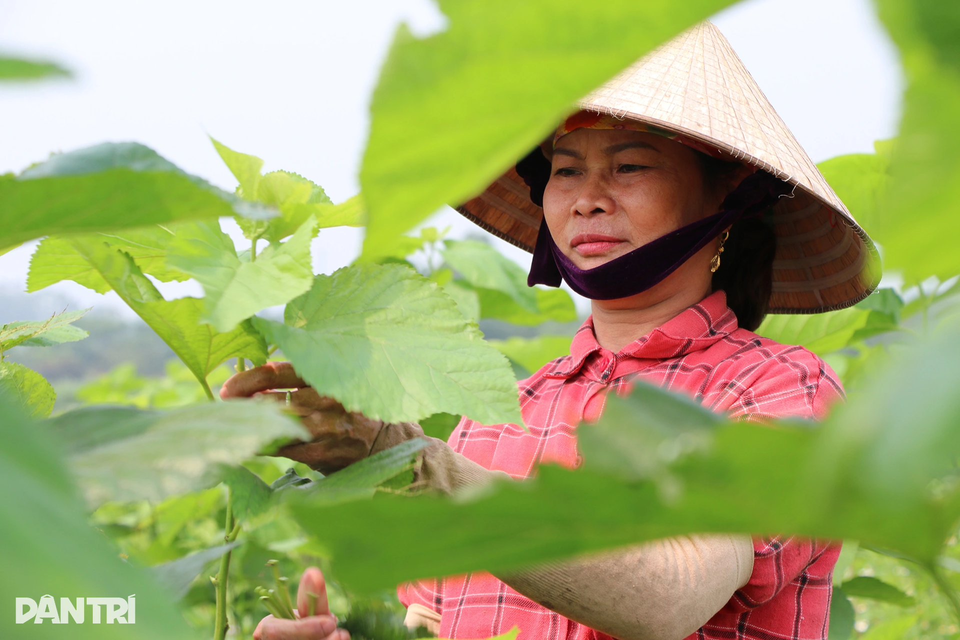 Lãi kép từ nuôi con khó chiều, nằm điều hòa - 3 Lãi kép từ nuôi con khó chiều, nằm điều hòa - 3
