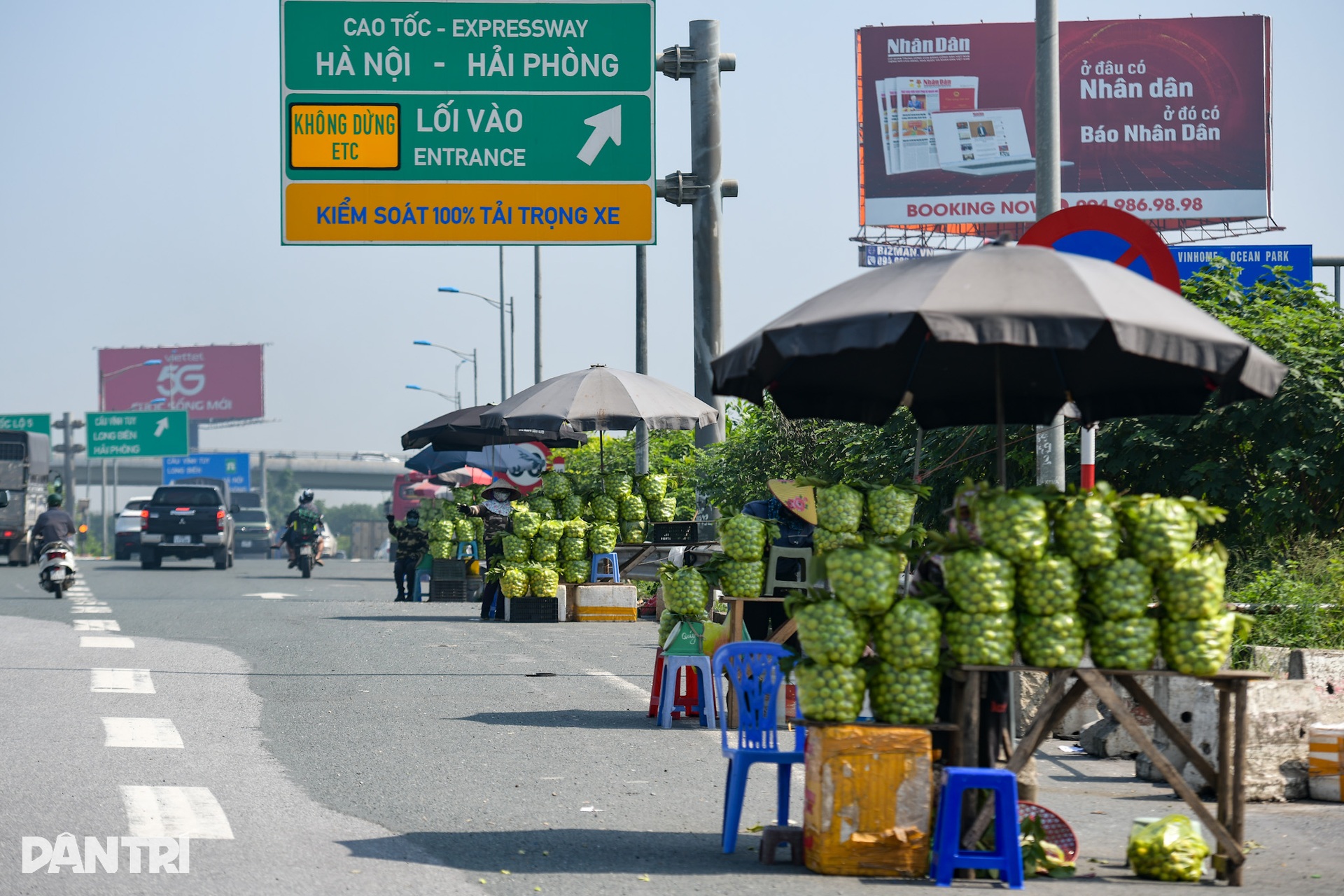 Người bán ổi dưới chân cầu Thanh Trì dọn hàng tháo chạy khi thấy công an - 2 Người bán ổi dưới chân cầu Thanh Trì dọn hàng tháo chạy khi thấy công an - 2