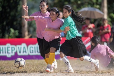 "Hoa núi" tranh tài