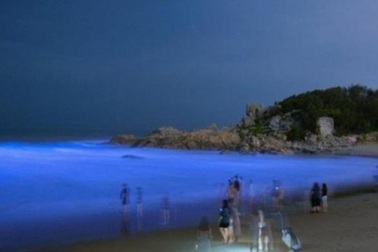 Bãi biển phát sáng xanh huyền bí trong đêm ở Trung Quốc