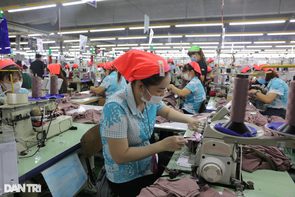 Doanh nghiệp phá sản, người lao động mất việc ở Đồng Nai tăng - 1