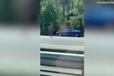 Cô gái khỏa thân thản nhiên băng ngang đường cao tốc ở Mỹ