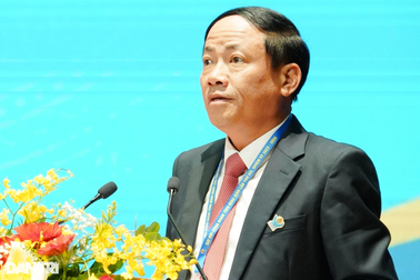 Công đoàn Bình Định quan tâm quyền lợi, lương thưởng cho người lao động