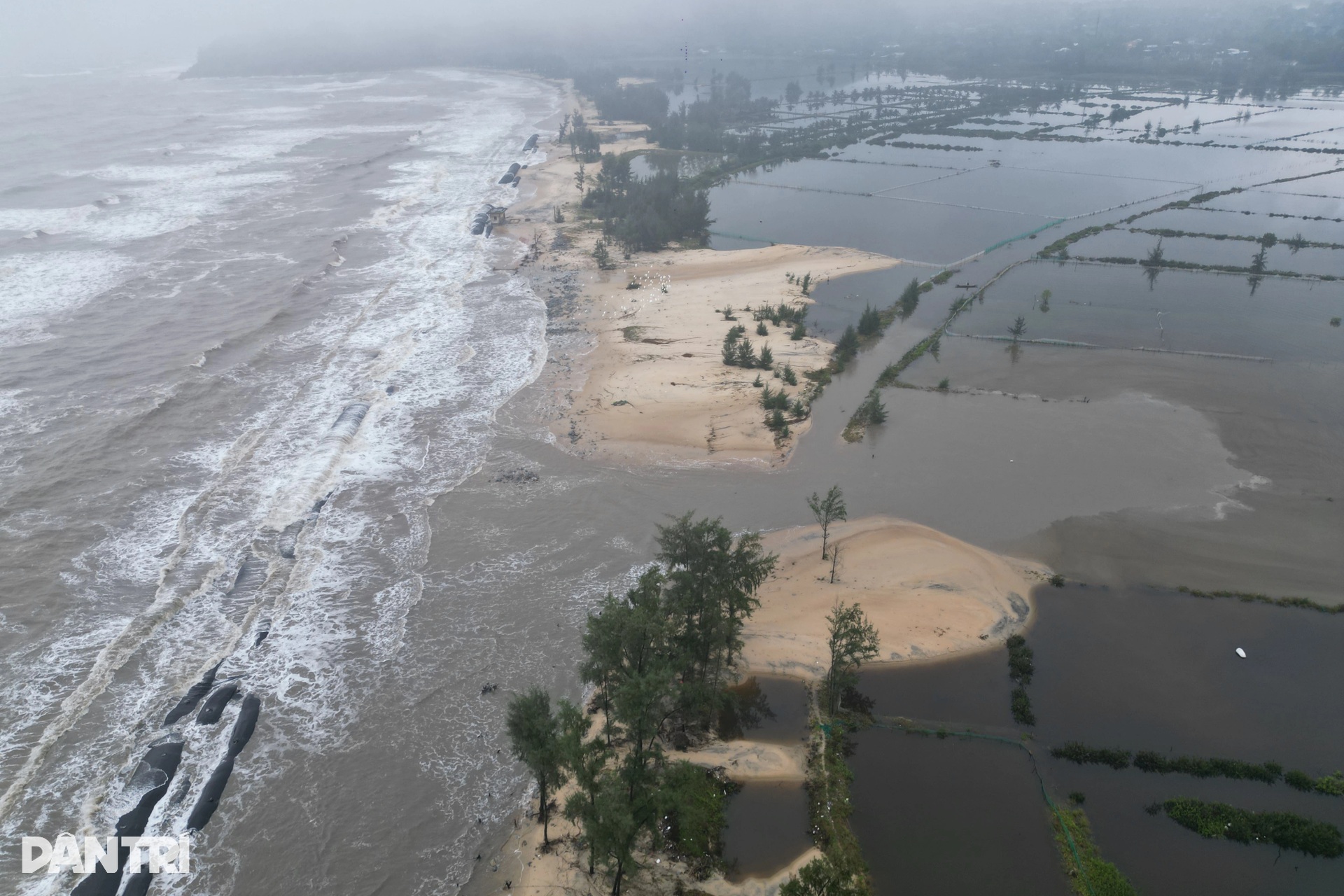 Rừng phòng hộ biến mất, sóng biển đe dọa khu dân cư - 3