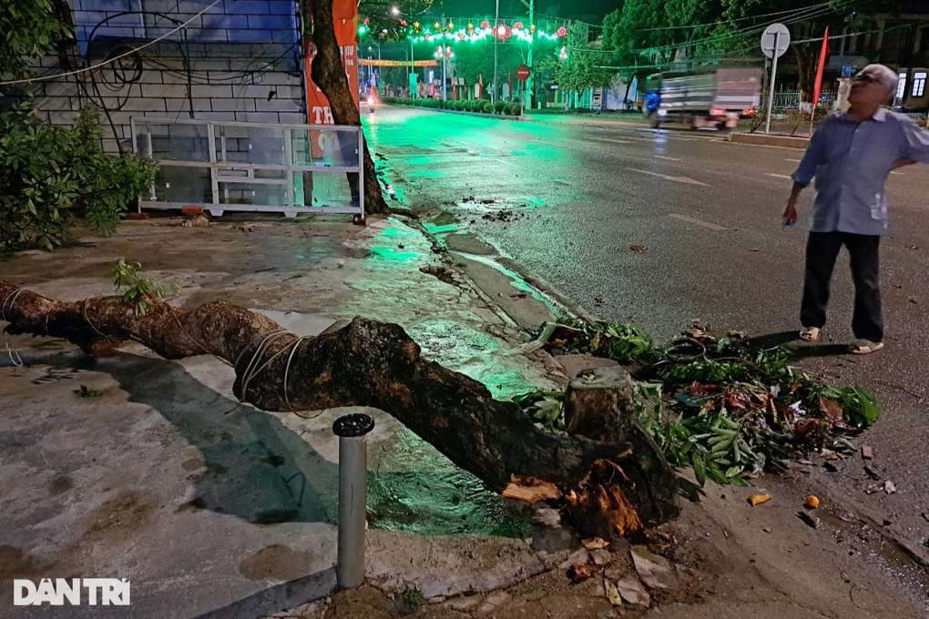 Mưa đá xuất hiện ở Điện Biên, quật gẫy cây, gây ngập úng - 11 Mưa đá xuất hiện ở Điện Biên, quật gẫy cây, gây ngập úng - 11