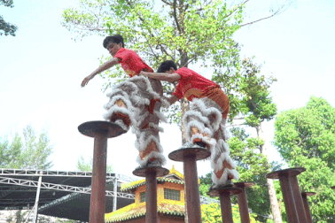 Lân sư rồng ngày đêm khổ luyện đón Tết