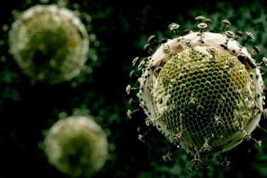 WHO cảnh báo nguy cơ lây nhiễm HIV ở những người đồng tính nam