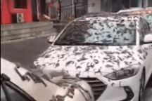 Sự thật về hiện tượng "mưa giun" kỳ lạ xuất hiện tại Trung Quốc?