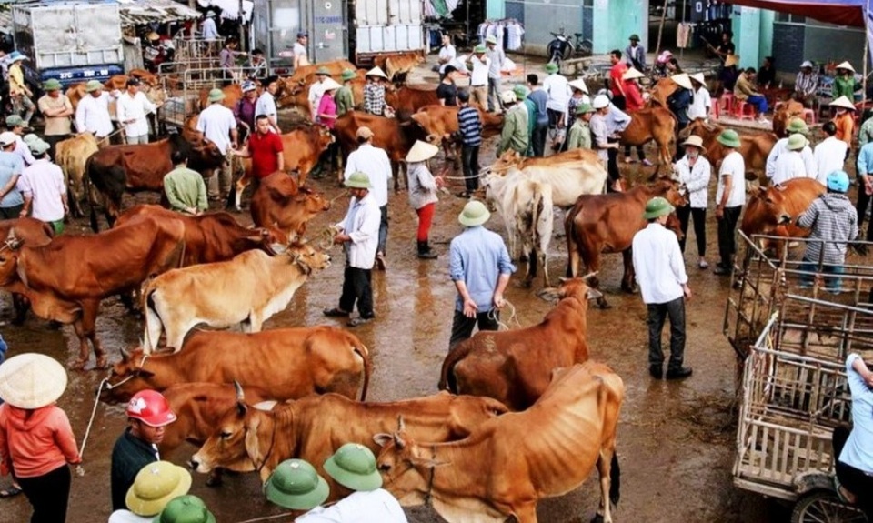 Độc đáo phiên chợ chọn con đầu cơ nghiệp - 3 Độc đáo phiên chợ chọn con đầu cơ nghiệp - 3