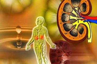 Bệnh thận: Bạn thuộc nhóm nguy cơ?