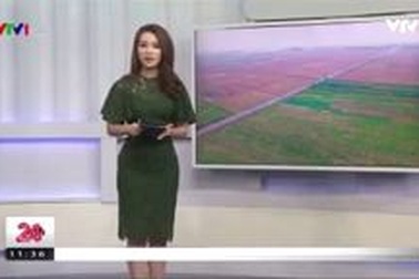 Cử nhân bỏ phố về quê thành tỷ phú dược liệu