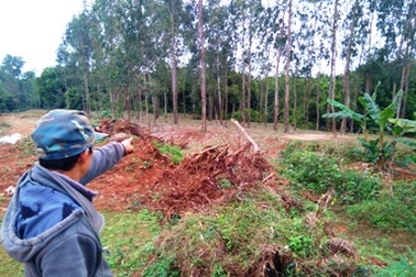 Học sinh lớp 9 tự vẫn vì bị nghi trộm hoa