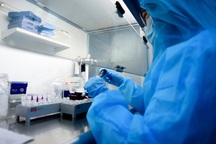 Chuyên gia người Hàn Quốc không mắc Covid-19